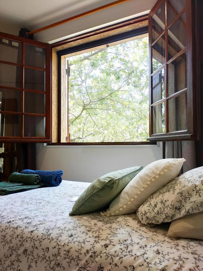 Villa Les Chariotins Draguignan Eksteriør bilde